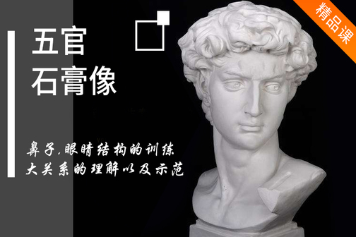 五官基础教程之石膏五官像的画法