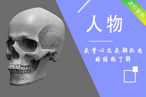 素描人物头像教程课程之头部讲解