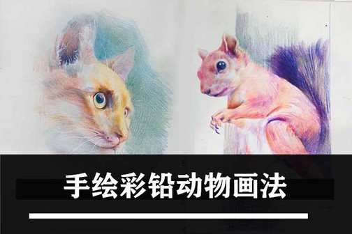 如何画手绘彩铅?动物彩铅画法!
