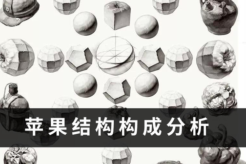 素描静物苹果画法讲解及苹果结构分析!