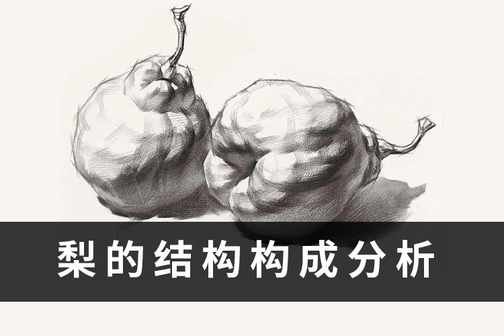 梨的画法讲解及梨结构分析!