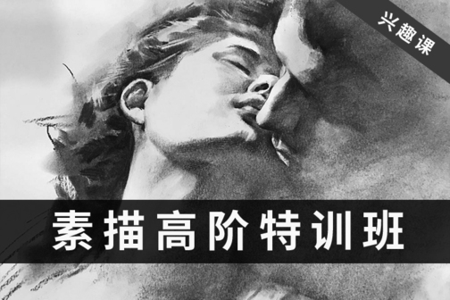 【素描网课】素描高阶网课