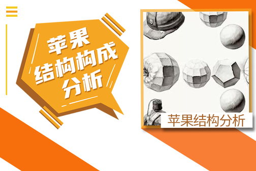 素描静物苹果画法讲解及苹果结构分析!