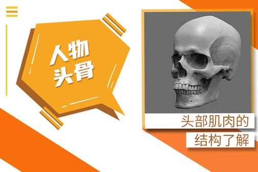 素描人物头像教程之头部讲解