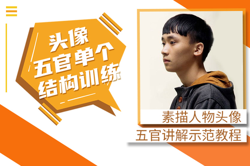 素描头像人物头像五官讲解示范教程