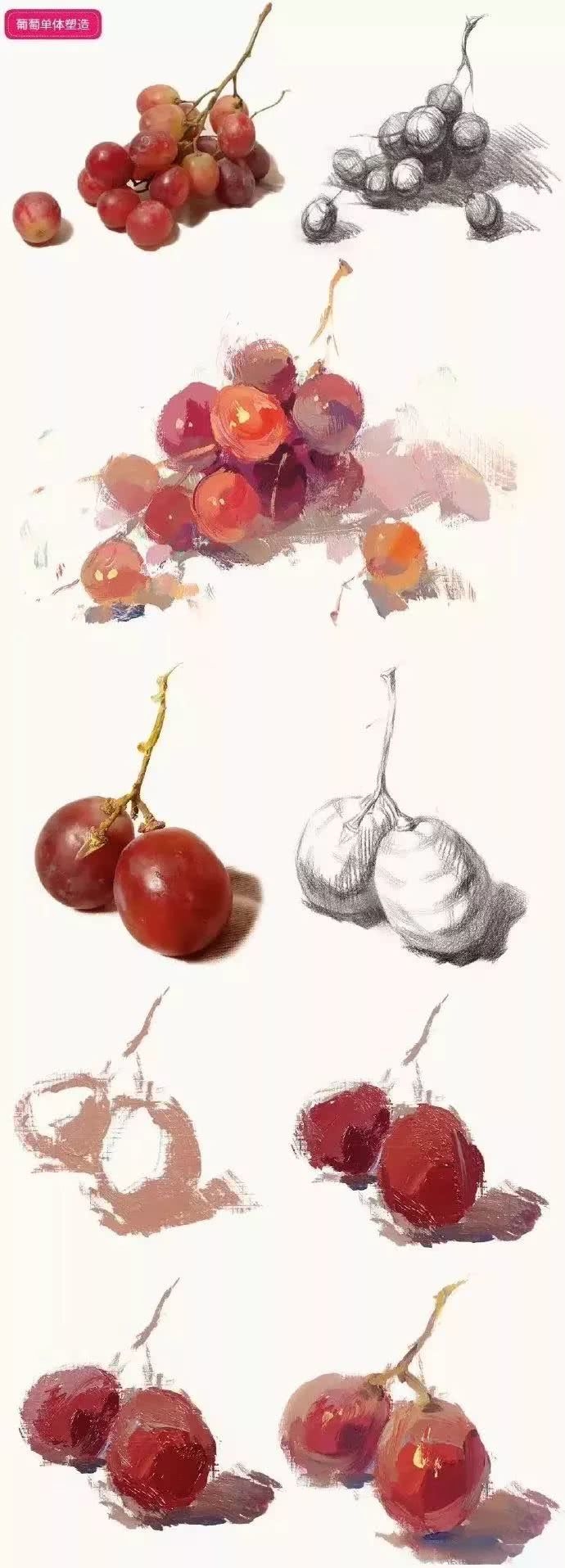 色彩葡萄怎么画？如何画出一整串的葡萄？