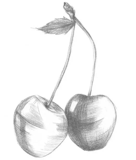 素描静物教程：樱桃的绘画步骤