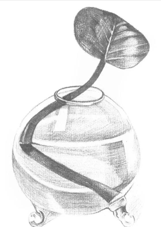 素描水葫芦的画法