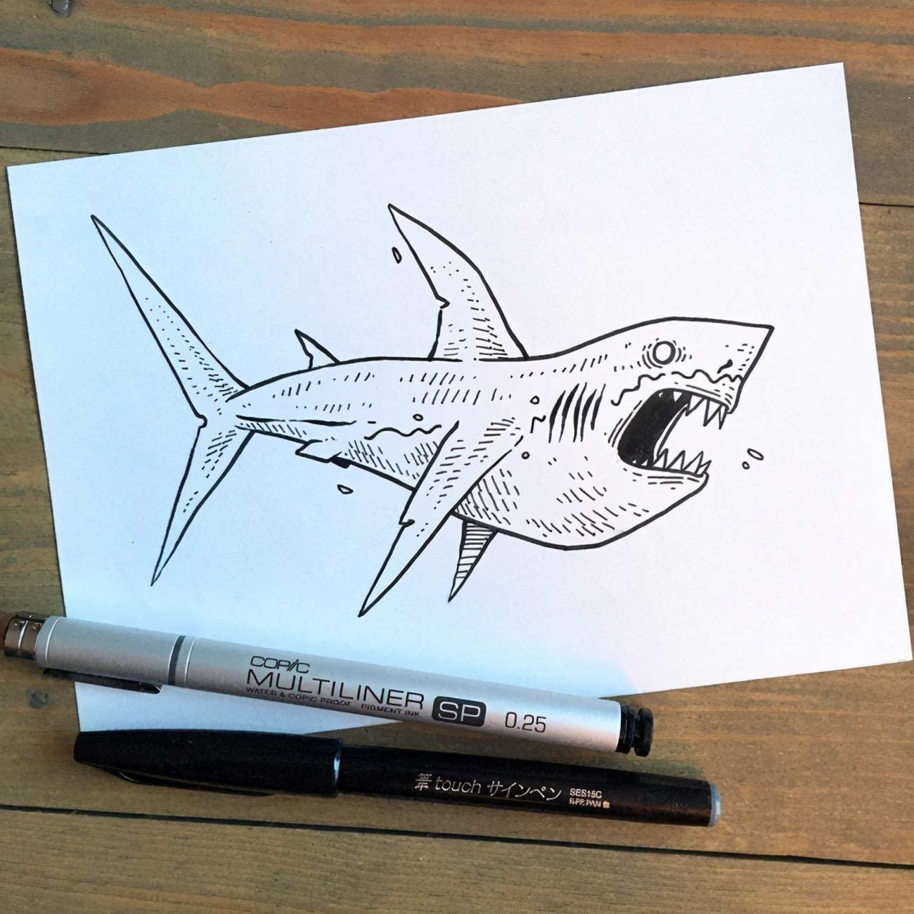 海洋鲨鱼怎么画？如何画动漫鲨鱼？