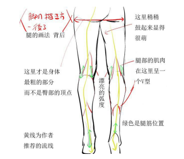 人物腿部怎么画，教你画修长的腿！