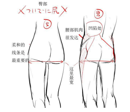 人物腿部怎么画，教你画修长的腿！