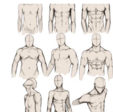 有魅力的男性怎么画，你需要知道男性肌肉绘画方法