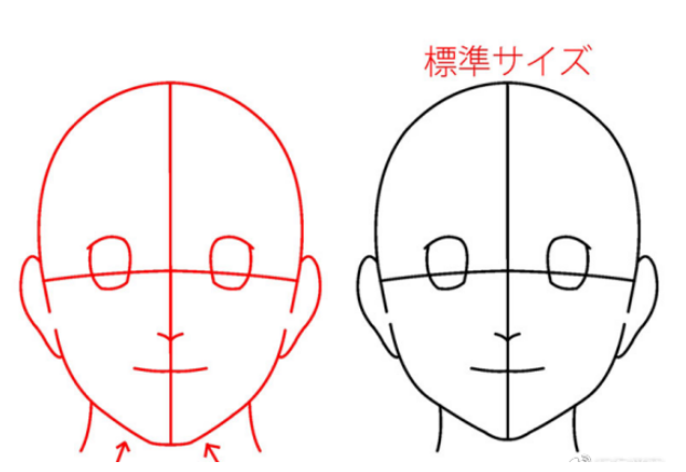 如何绘画动漫人物的脸型？青年人的头部协调画法是什么样的？