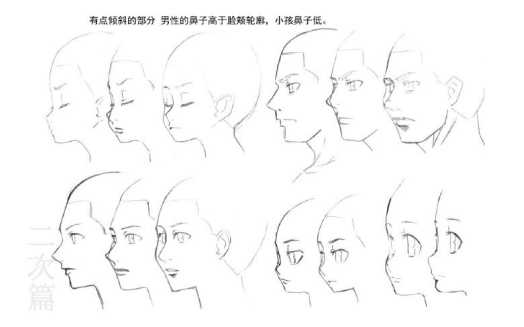 二次元侧脸表情绘画参考教程