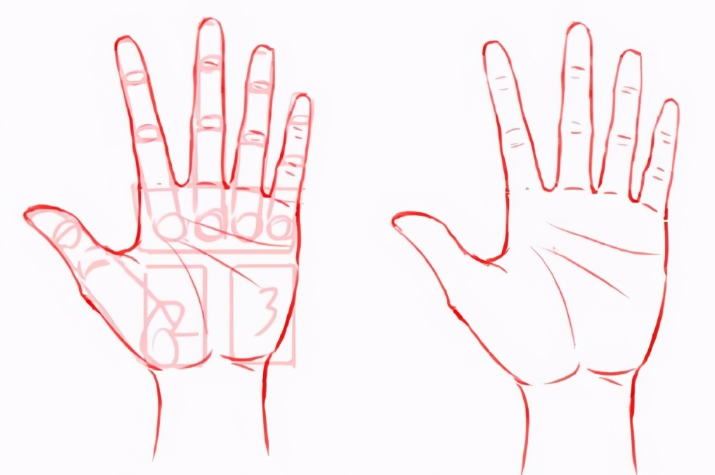 绘画新手如何画好手部？教你画手掌的画法诀窍！