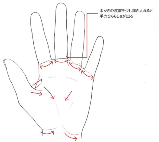 绘画新手如何画好手部？教你画手掌的画法诀窍！