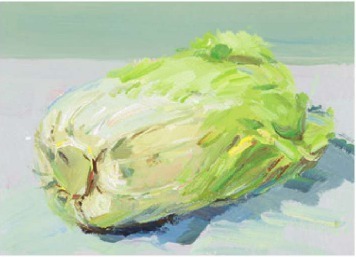 色彩大白菜的画法（4）
