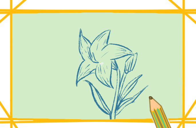 百合简笔画白色花朵教程步骤图片
