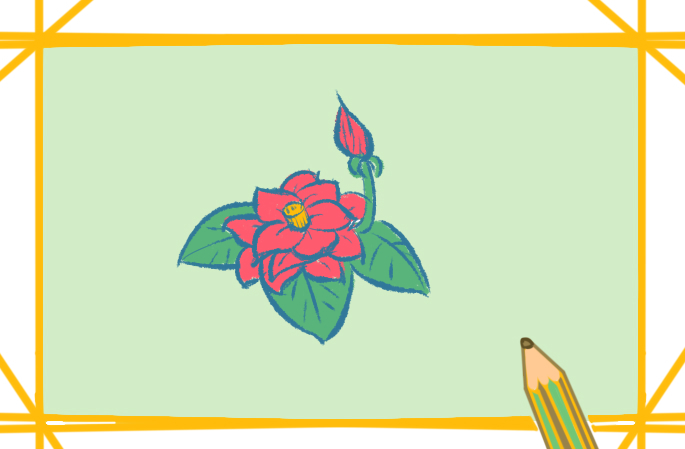漂亮的蔷薇的图片怎么画
