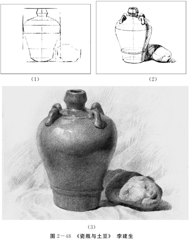 瓷瓶与土豆的画法步骤