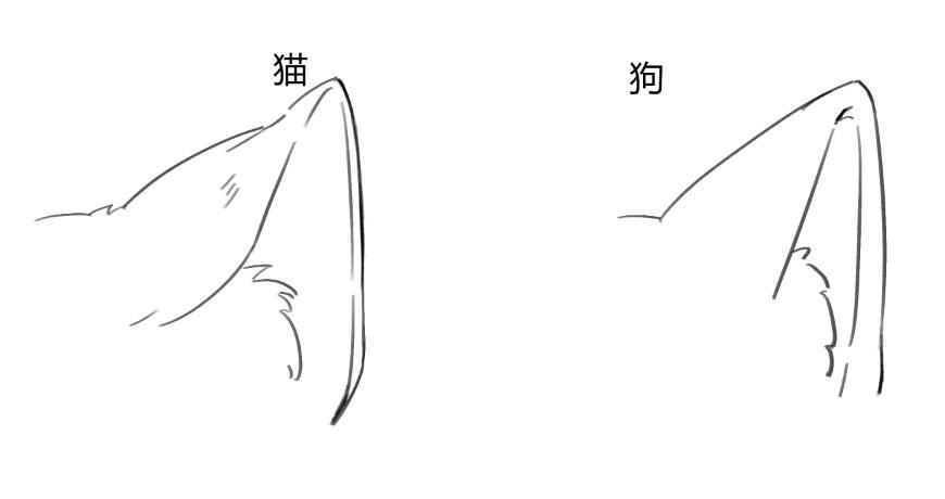 怎樣才能畫出好看的貓耳貓耳怎麼畫才好看