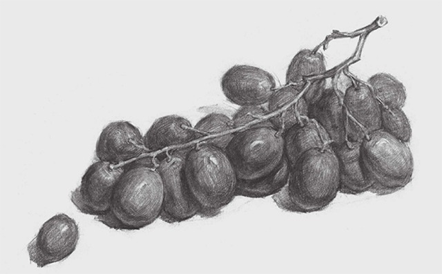 素描水果教程：葡萄的画法
