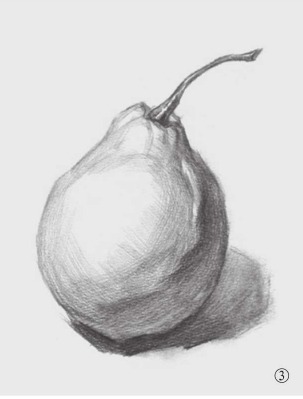 单体素描教程：梨子的画法