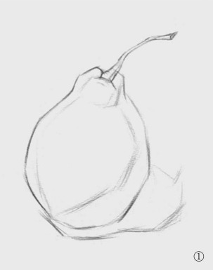 单体素描教程：梨子的画法