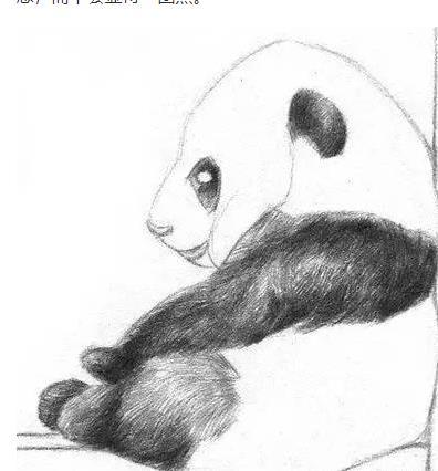 素描熊猫的画法