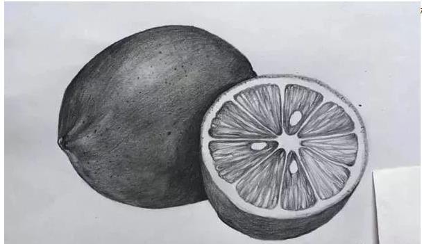 素描柠檬的画法