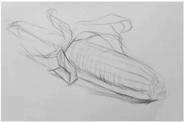 素描静物教程：玉米的绘画步骤