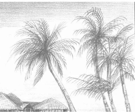 素描风景教程：海边风景的画法