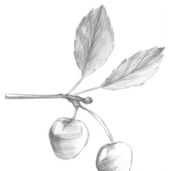 零基础素描静物教程：樱桃的画法