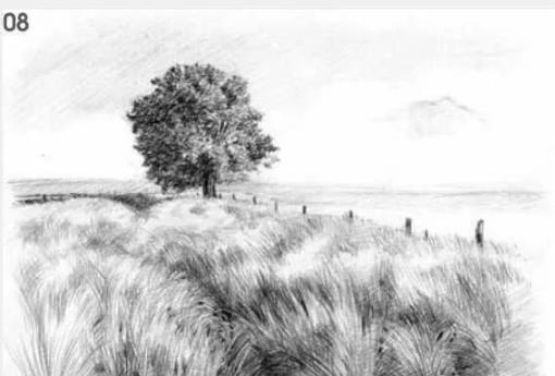 素描风景教程：草原的画法