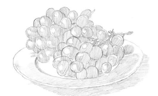 零基础素描教程：葡萄的画法