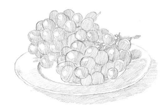 零基础素描教程：葡萄的画法