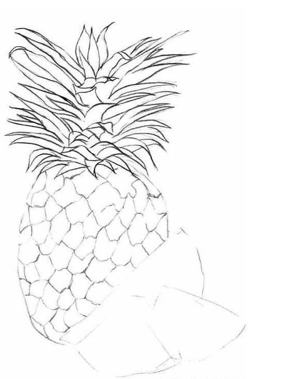 菠萝怎么画 一步一步图片