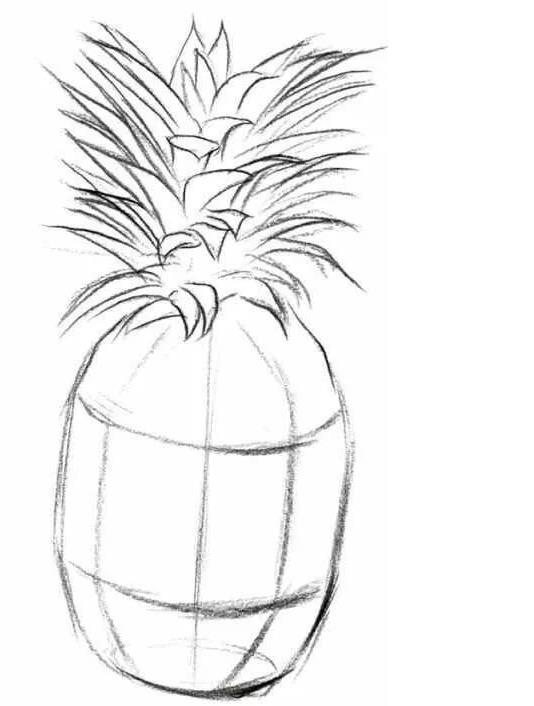 速写静物教程：菠萝的画法