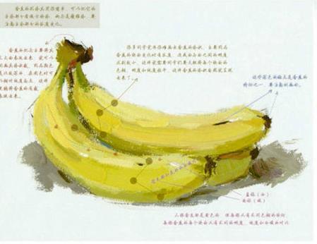 色彩单个物体教程：香蕉的画法