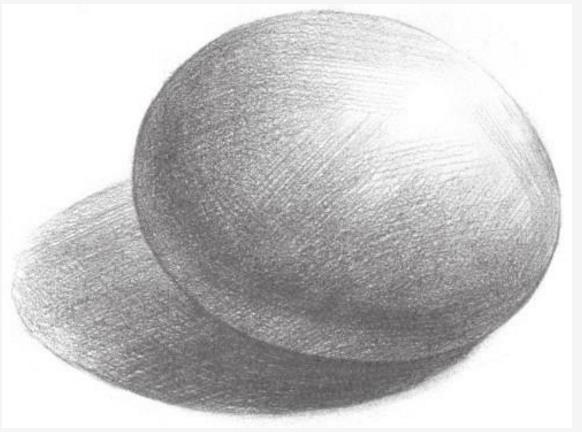 蛋壳素描图片