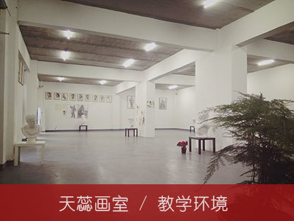 北京天蕊画室