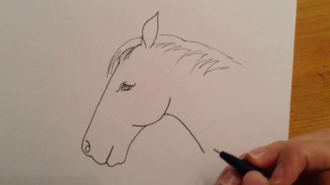 马眼睛怎么画简笔画图片