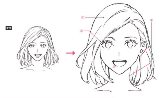 如何画出人物的面部轮廓？