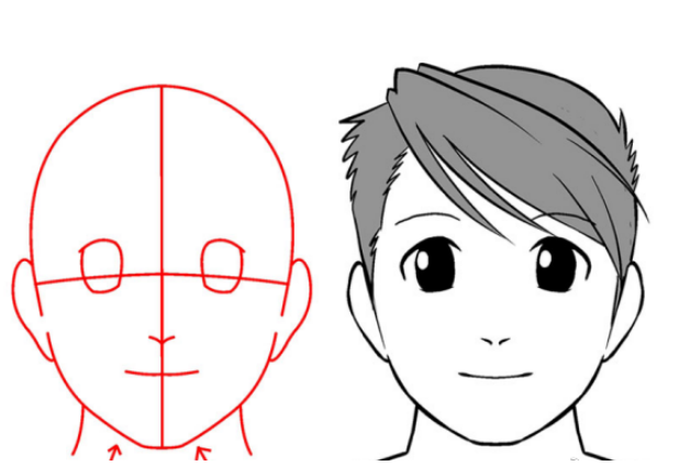 如何绘画动漫人物的脸型？青年人的头部协调画法是什么样的？