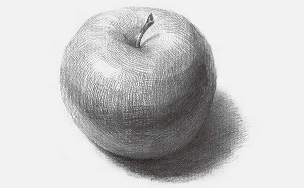 正放素描苹果图片