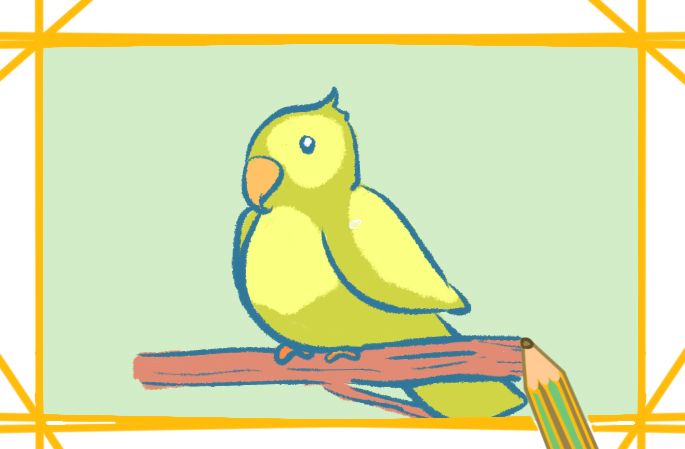 小鹦鹉简笔画彩色图片