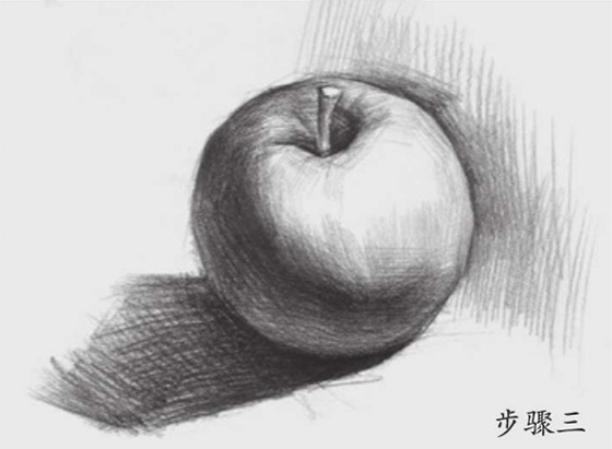 高中素描苹果画法（三）