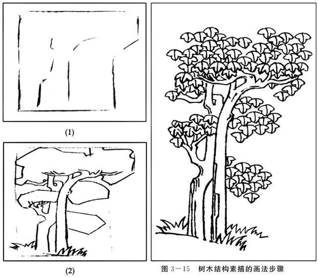 简笔画树的画法教案图片