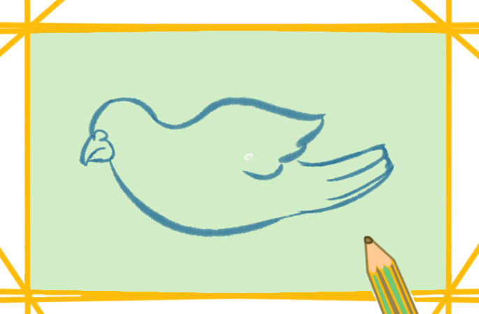 一步一步教你画鸽子怎么画