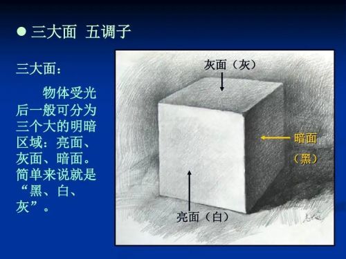 素描中的三大面是什么